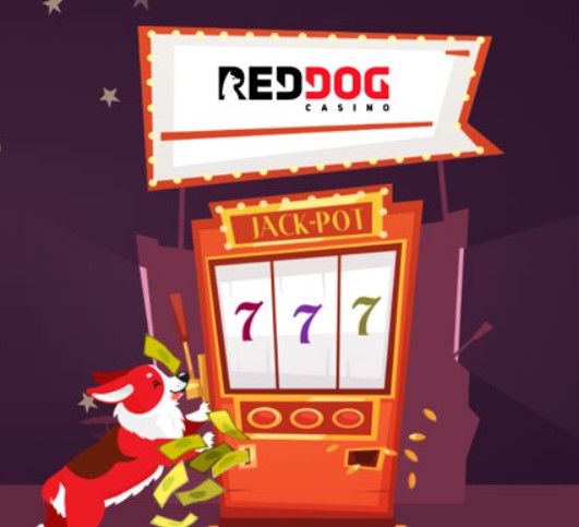 Review Red Dog Casino 50 Free Spins 2
