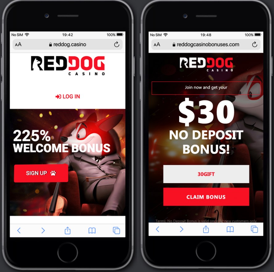 Review Red Dog Casino App 1