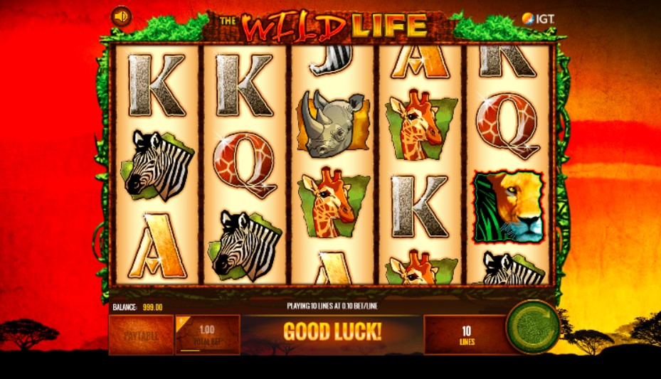 Wild Life Slot 2